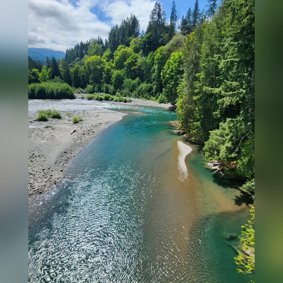 Our Crazy Life at a Glance - Picture 11 of 16